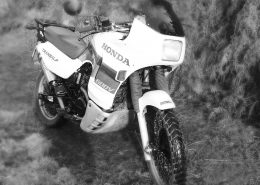 HONDA Transalp