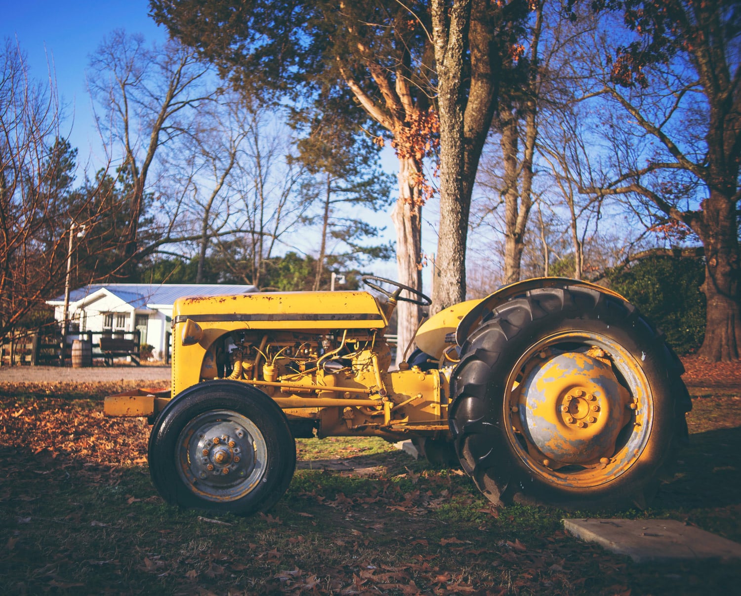 Assurance tracteur de collection