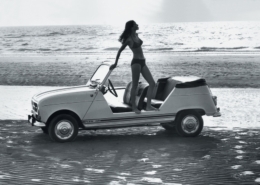 RENAULT 4L