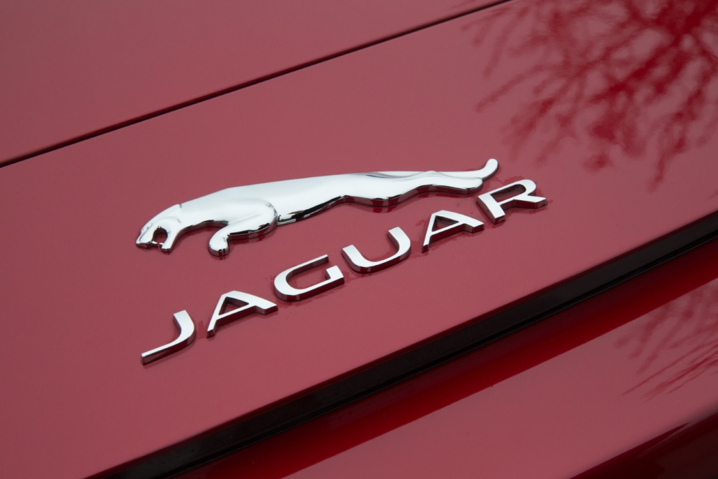 jaguar